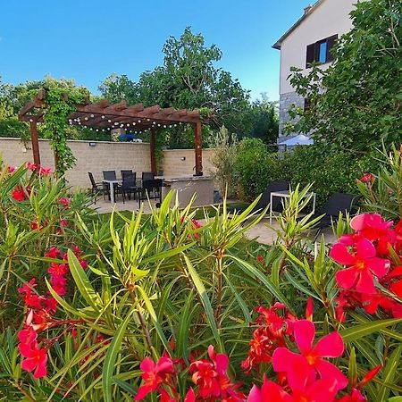 Vila Primorka Apartmani Oleander Šilo Buitenkant foto